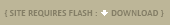 Download Flash