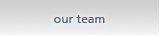 our team